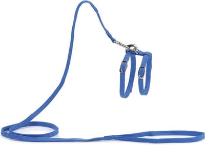 Beeztees - Kattentuigje - Nylon - Blauw - 130 cm x 10 mm