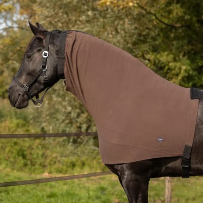Eczemakap voor paarden QHP