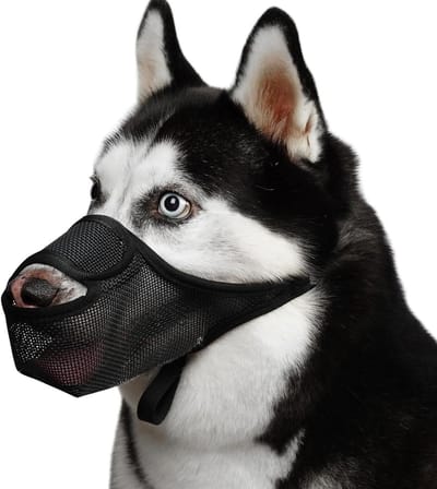 Ademende, verstelbare muilkorf voor honden - Zwart - Maat S - Nylon - Comfortabel en veilig op