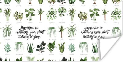 Poster Spreuken - Quotes - Happiness is... watching your plant starting to grow - Planten - 120x60 cm