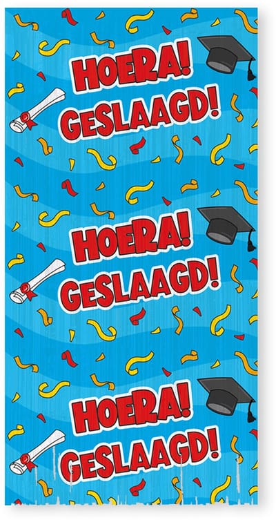 LUQ – Hoera Geslaagd Foliegordijn – Luxe Graduation Party Decoratie – Afstudeer Feest Versiering – Direct Ophangen