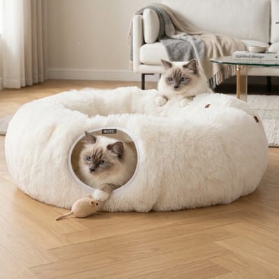 BOTC Kattentunnel met Kattenmand - Speeltunnel Voor Dieren - Tunnel Kat - Kattenhuis - Speeltunnel kat - Beige