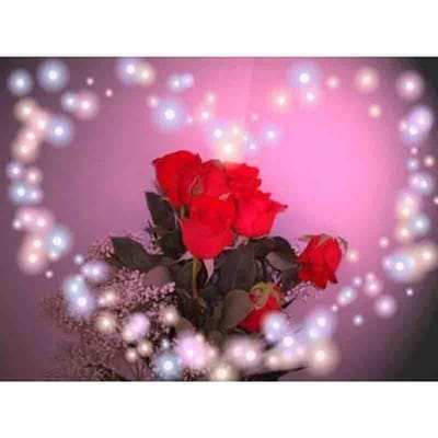 Diamanten borduurwerk 5D DIY diamant schilderij rozen harten liefde diamant mozaïek kruissteek kristal decor cadeau 20X30CM red