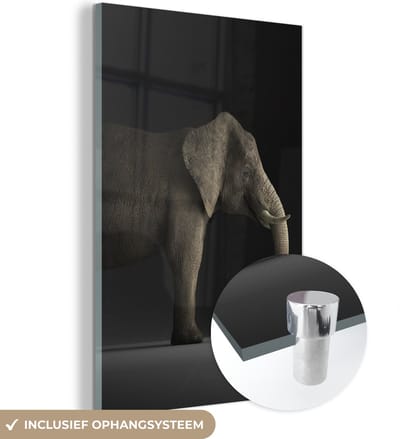 MuchoWow® Glasschilderij 120x180 cm - Schilderij acrylglas - Olifant - Dieren - Licht - Foto op glas - Schilderijen