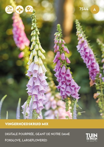 Vingerhoedskruid Excelsior Mix Zaden – Digitalis purpurea – Bloemzaden – Tweejarige Bijenplant – Border & Cottagetuin – Tuin de Bruijn