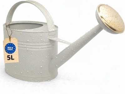 SnelShoppen - Livlig Gieter 5 Liter, Retro Bloemengieter van Verzinkt Metaal met Afneembare Messing Brause, Ideaal voor Tuin & Balkon in Greige Kleur