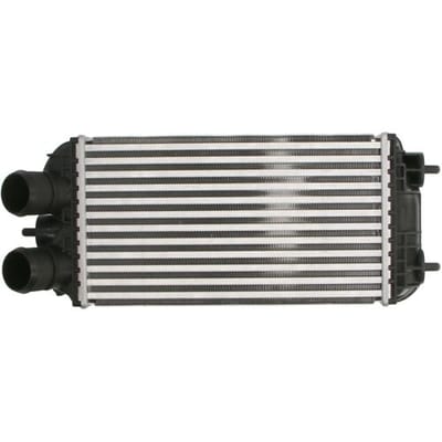 Intercooler, inlaatluchtkoeler THERMOTEC DAF012TT