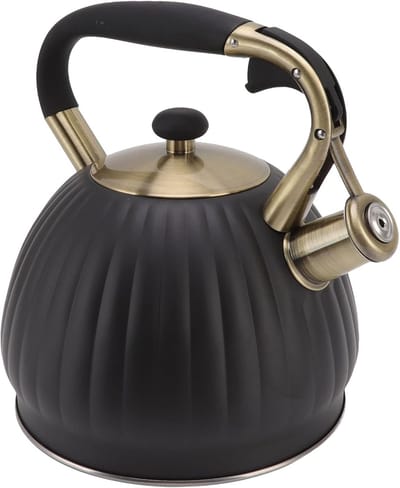 Fluitende Theeketel - Waterketel Roestvrijstaal - Snel Water Koken - Grote Capaciteit 35L - 19 x 23 cm - Zwart