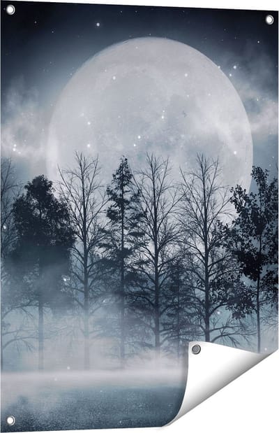 Gards Tuinposter Maan tussen de Bomen in de Nacht - 60x80 cm - Tuindoek - Tuindecoratie - Wanddecoratie buiten - Tuinschilderij