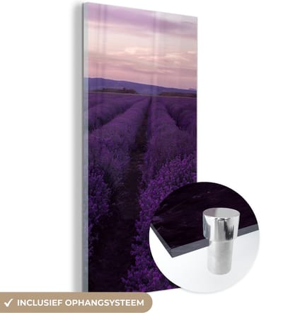 MuchoWow® Glasschilderij 20x40 cm - Schilderij acrylglas - Lavendel - Paars - Bloemen - Natuur - Foto op glas - Schilderijen