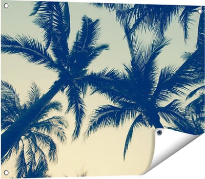 Gards Tuinposter Palmbomen Bladeren - 80x60 cm - Tuindoek - Tuindecoratie - Wanddecoratie buiten - Tuinschilderij