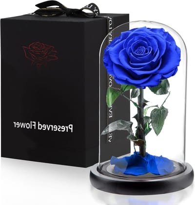 Eeuwige Roos - Gekonserveerde Bloem - Cadeau Geven - Echte Roos - 24 cm Hoog - Donkerblauw