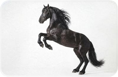 Badmat 60x40 cm - Antislip - Zwart - Paard - Portret - Badmatten voor badkamer - Badkamermat - Douchemat - Badkamer mat