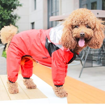 Imperméable pour Animaux de Compagnie Toutes Saisons Combinaison Chien Chat Imperméable Coupe-vent Veste pour Chiots Marche Extérieure (Red,XL) rouge