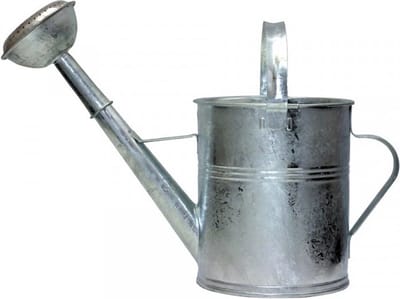 Verzinkte tuingieter met afneembare broes / sproeikop - 5 liter - metalen gieter