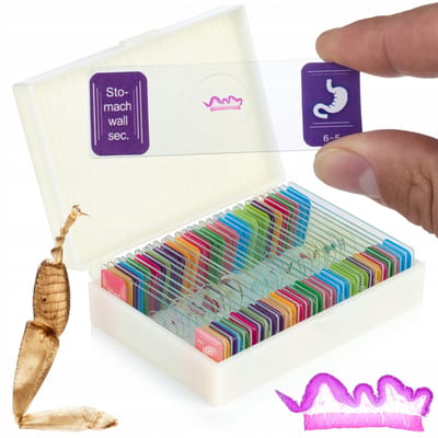 Rosfix Biologisch Microscoop Uran Pro MBUP - Monoculair Hoofd 45° - Achromatisch 4x/40x, 360°