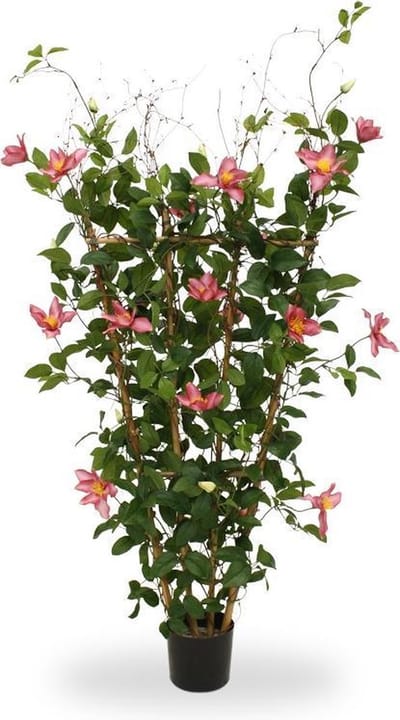 Clematis kunstheg 125cm - rose