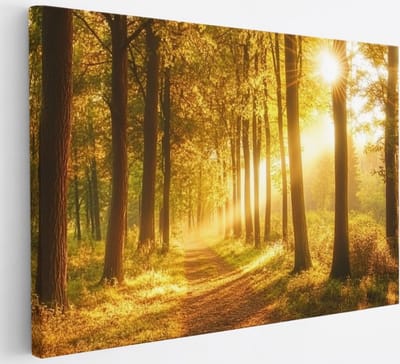 Saammp Canvas Schilderij - Bos tijdens Goldenhour - Herfst - Natuur - 30x20 - Foto op canvas - Wanddecoratie - Muurdecoratie Woonkamer - Slaapkamer decoratie - Canvas Print