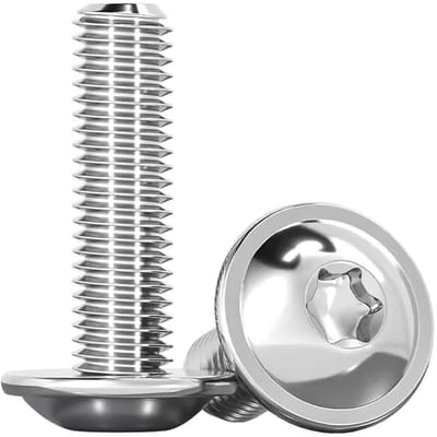 Set van 20 RVS M6 x 30 mm Ovalen Hoofdschroeven met Hals en Zeskant / Torx, Volle Nek, Duurzaam en Corrosiebestendig
