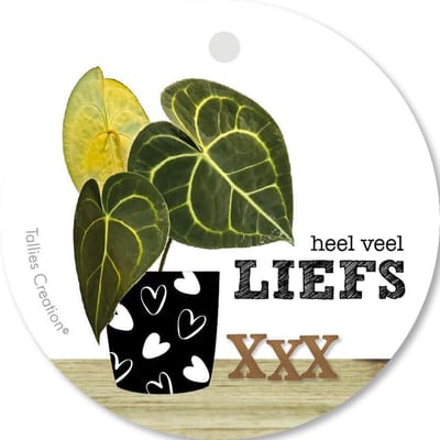 Tallies Cards - kadokaartjes  - bloemenkaartjes - Liefs - Plant - set van 5 kaarten - valentijnskaart - valentijn  - moeder - mama - liefde - 100% Duurzaam