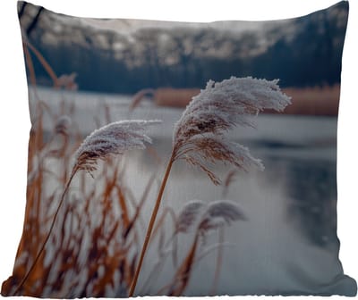 Sierkussen Buiten - Riet - Gras - Natuur - Winter - Meer - 60x60 cm - Weerbestendig