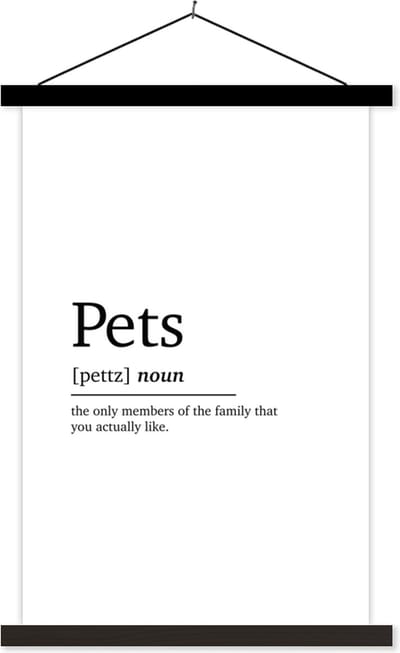 Posterhanger incl. Poster 40x60 cm - Schoolplaat - Quotes - Pets - Huisdieren definitie - Spreuken - Woordenboek - Textielposter - Zwarte latten