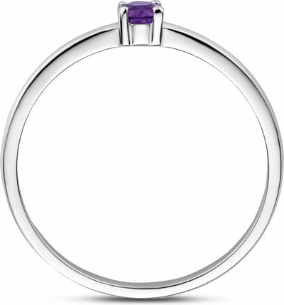 Gerhodineerd Zilver Ring Met Geboortesteen Amethist Februari 1337074