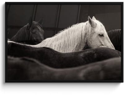 Poster in lijst - Fotolijst 120x80 cm - Posters - Paarden - Zwart - Wit - Kudde - Posterlijst zwart - Decoratie - Wanddecoratie woonkamer - Muurdecoratie slaapkamer