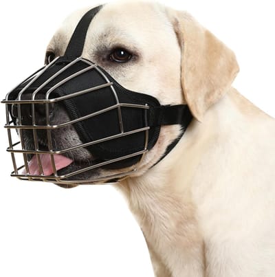 Honden Muilkorf - Ademende Mandmuilkorf - Voorkomt Bijten Blaffen - Verstelbare Riem Gesp - Maat M - Zwart