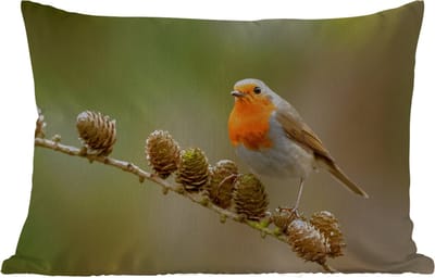 Buitenkussens - Tuin - Vogel - Roodborstje - Dennenappel - Tak - Herfst - 50x30 cm