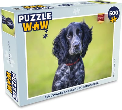 Puzzel Een zwarte Engelse cockerspaniël - Legpuzzel - Puzzel 500 stukjes