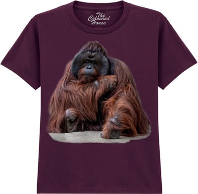 KIDS Wisdom Beyond Words - Orangutan The Coloured House KIDS T-shirt XL