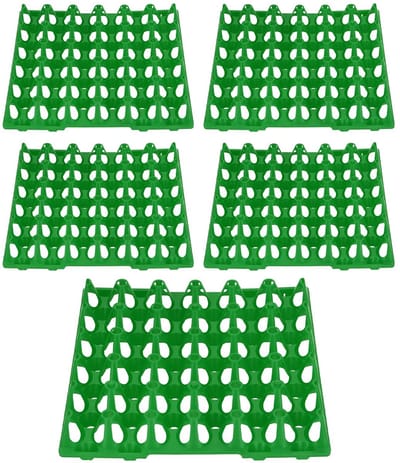 Dailygoods- Eierkratten 5 stuks - Plastic eierdozen 30 cellen - Opslag voor eieren - Transport eieren - Duurzaam kunststof - 28,7 x 28,3 cm