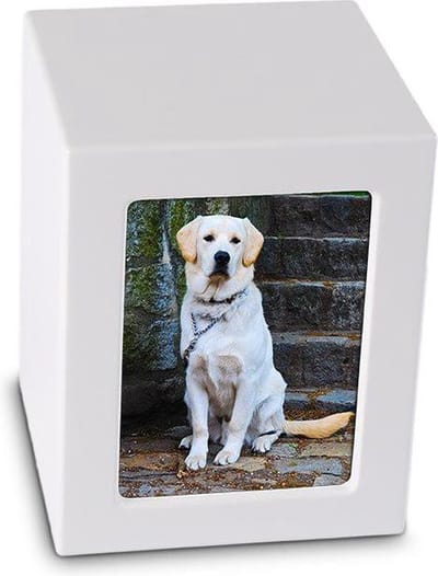 Foto Kist Urn Wit Mat - Houten urn voorzien van een veilige sluiting Klein - Asbeeld Dieren Urn Voor Uw Geliefde Dier - Kat - Hond - Paard - Konijn