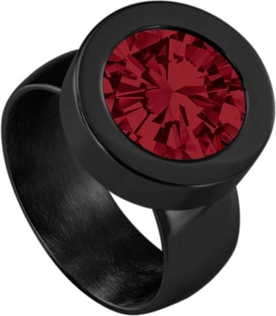Quiges RVS Schroefsysteem Ring Zwart Glans 16mm met Verwisselbare 12mm Mini Munt - SLSRS54316