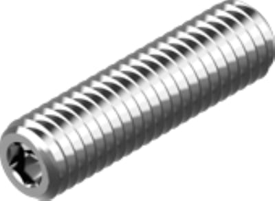 RVS stelschroef met platte punt A2 M10x60 mm