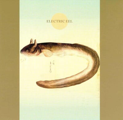 Electric Eel