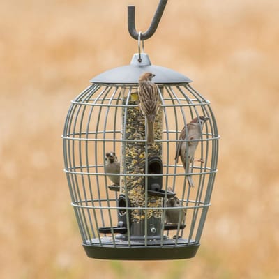 CJ Wildlife Voedersilo met Beschermkooi voor Tuinvogels - Aura - Vogelvoedersilo voor Kleine Vogels - Vogelvoederhuisje - Hangend & Staand mogelijk - Vogelvoer Silo - Groen