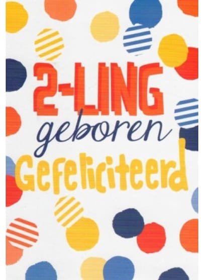 Een tweeling! Van harte gefeliciteerd! Een mooie kaart met kleurrijke stippen. Leuk om zo te geven of om bij een cadeau te voegen. Een dubbele wenskaart inclusief envelop en in folie verpakt.