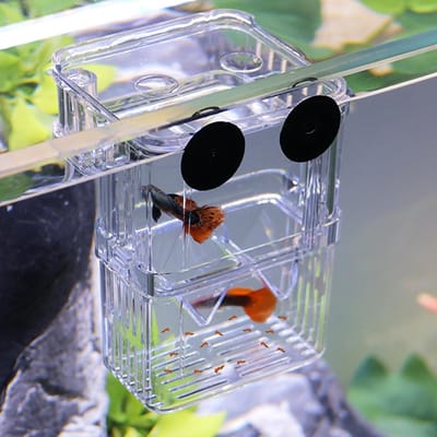 Lexium Kweekbakje vissen - Vissen kweekbakje - Aquarium voor uibroeden vis eitjes