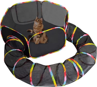 PolkaHome® kattentent buiten & binnen – Kattenhuis met kattentunnel, kattenbox & draagbare tent – Kattenspeelgoed & buitenhuis voor katten en kleine dieren