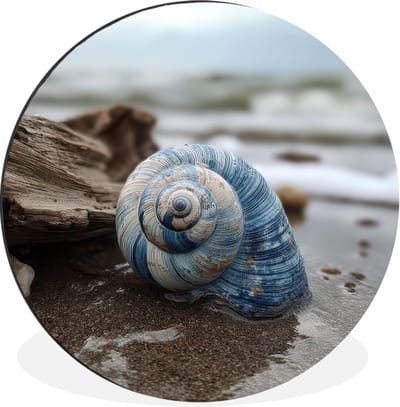 WallCircle - Wandcirkel - Muurcirkel - Schelp - Strand - Blauw - Zee - Aluminium - Dibond - 30x30 cm - Binnen en Buiten