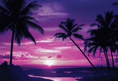 Fotobehang Beach Tropical Sunset Palms | XL - 208cm x 146cm | 130g/m2 Vlies