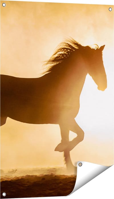 Gards Tuinposter Silhouet van een Paard - 60x90 cm - Tuindoek - Tuindecoratie - Wanddecoratie buiten - Tuinschilderij