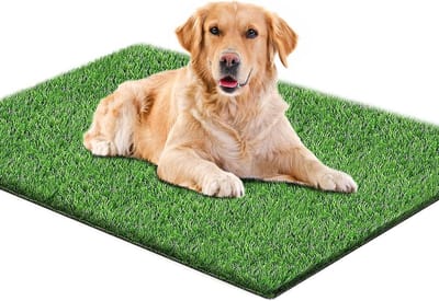 Hondentoilet kunstgras - Zindelijkheidstraining hond - Geurafstotend - Hondentrainer