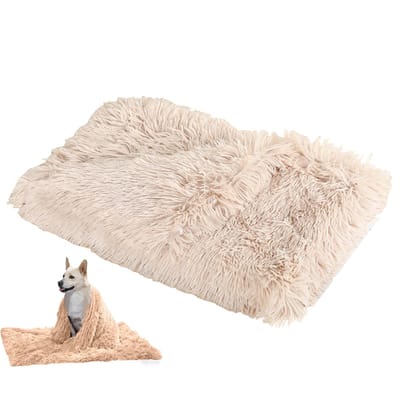 KZQ Fluffy Dikke Hondendeken Hondenkussen Kattendeken voor Bank Bed en Auto, Pluche Super Zacht Wasbaar in de Wasmachine, Geschikt voor Alle Seizoenen, Verhaart Niet, abrikoos 127x100 cm