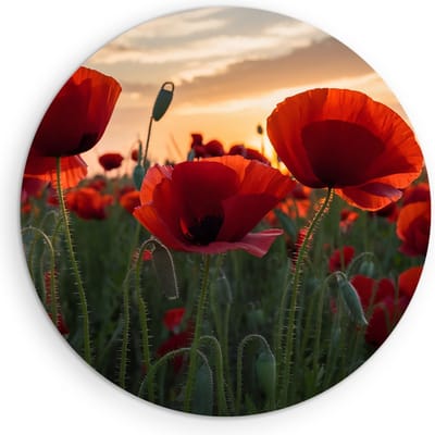 Saammp Muurcirkel Hout - Klaprozen - Natuur - Landschap - Ø 90 - Wandcirkel - Wanddecoratie Cirkel - Muurdecoratie Woonkamer - Slaapkamer decoratie - Rond Schilderij