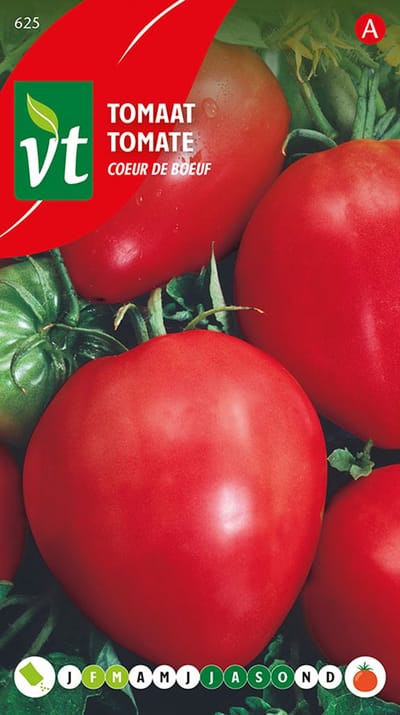 Tomaat Coeur de Boeuf - Grote, Geribde en Vaste Vruchten