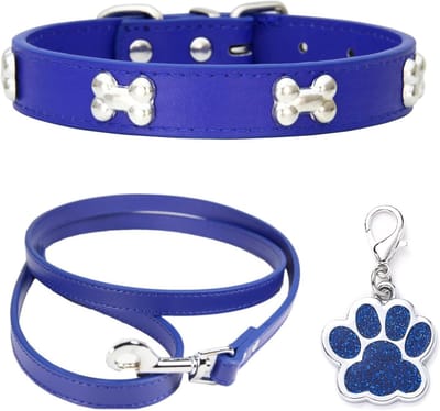 Verstelbare Leren Hondenhalsband en Hondenriem Combo voor Kleine en Middelgrote Honden