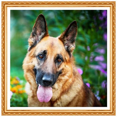 Peinture diamant thème chien en résine, broderie complète 5d, décoration d'intérieur, point de croix, couture en diamant 20X30CM black
